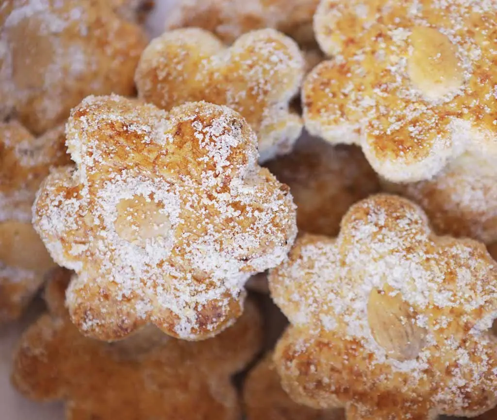 flor de almendra2.webp