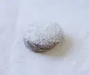 Nevaditos
