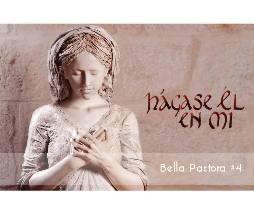 Bella Pastora #4 Foam