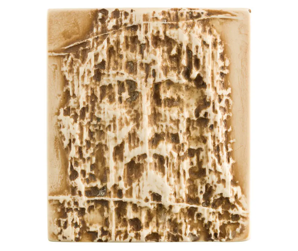 Santo Sudario