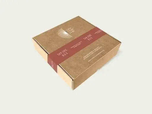[11195] San Jose box