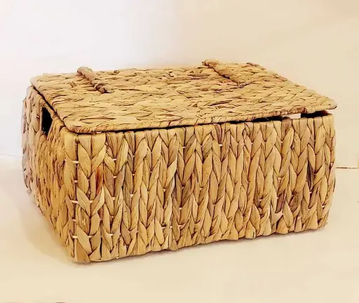 [11724] Caja Secuoya