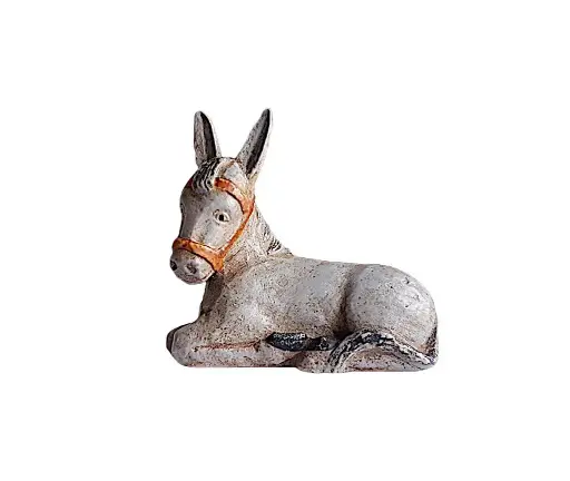 [1268P] Burro