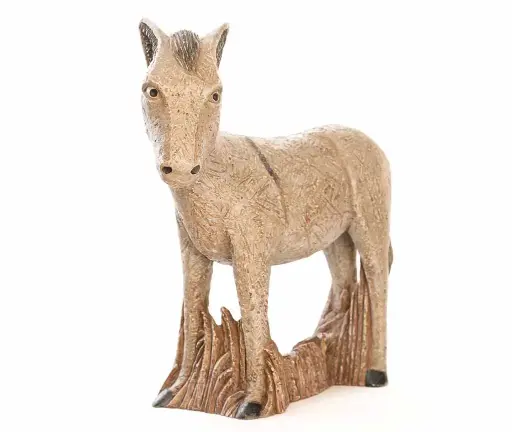 Burro campesino